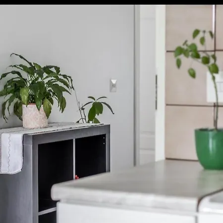 Easy And Short From The Airport Appartement *